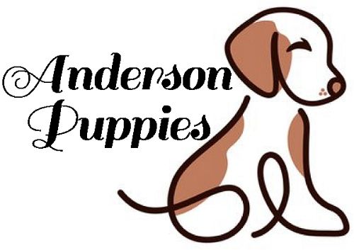 Anderson Puppies